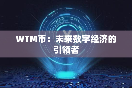 WTM币：未来数字经济的引领者