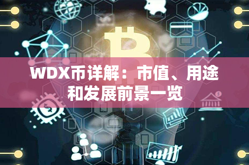 WDX币详解：市值、用途和发展前景一览