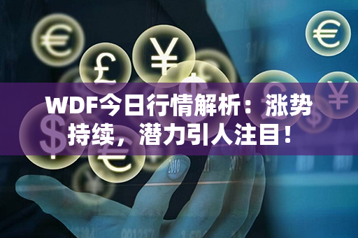 WDF今日行情解析：涨势持续，潜力引人注目！