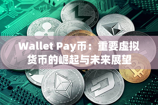 Wallet Pay币：重要虚拟货币的崛起与未来展望