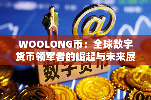 WOOLONG币：全球数字货币领军者的崛起与未来展望