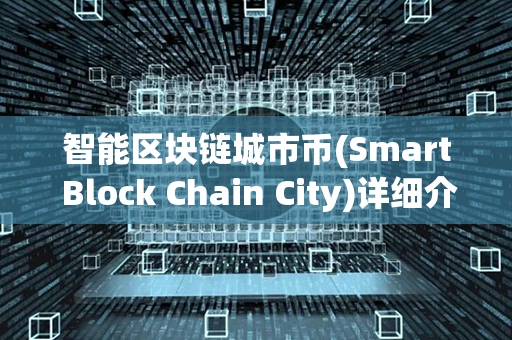 智能区块链城市币(Smart Block Chain City)详细介绍