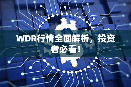 WDR行情全面解析，投资者必看！