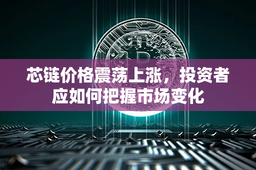 芯链价格震荡上涨，投资者应如何把握市场变化