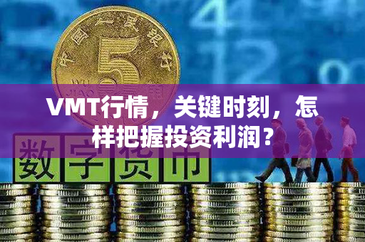 VMT行情，关键时刻，怎样把握投资利润？