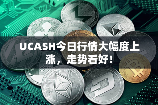 UCASH今日行情大幅度上涨，走势看好！