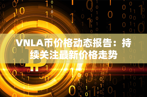 VNLA币价格动态报告：持续关注最新价格走势