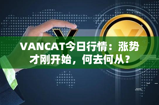 VANCAT今日行情：涨势才刚开始，何去何从？