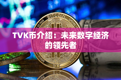 TVK币介绍：未来数字经济的领先者