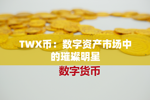 TWX币：数字资产市场中的璀璨明星