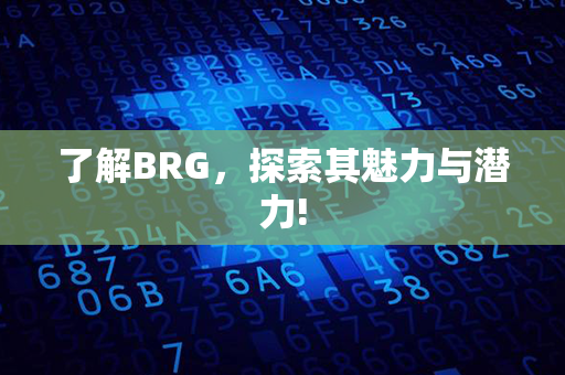 了解BRG，探索其魅力与潜力!