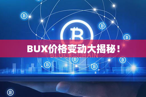 BUX价格变动大揭秘！