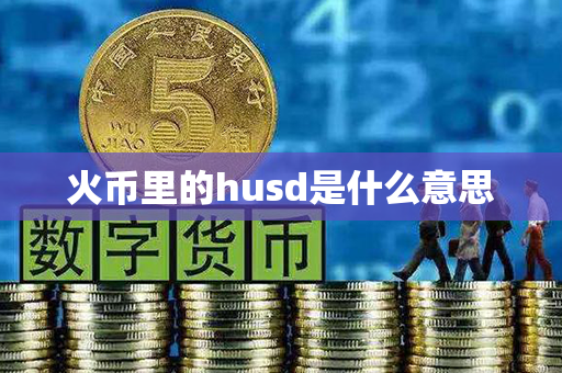 火币里的husd是什么意思