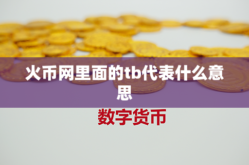 火币网里面的tb代表什么意思