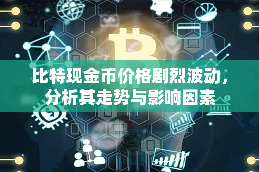 比特现金币价格剧烈波动，分析其走势与影响因素