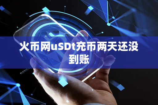 火币网uSDt充币两天还没到账