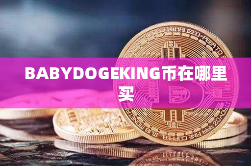 BABYDOGEKING币在哪里买