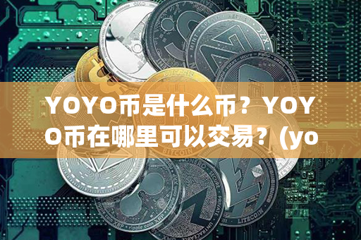 YOYO币是什么币？YOYO币在哪里可以交易？(yoyo是什么软件)