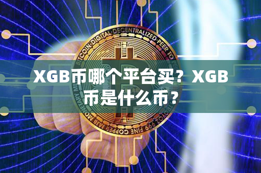 XGB币哪个平台买？XGB币是什么币？