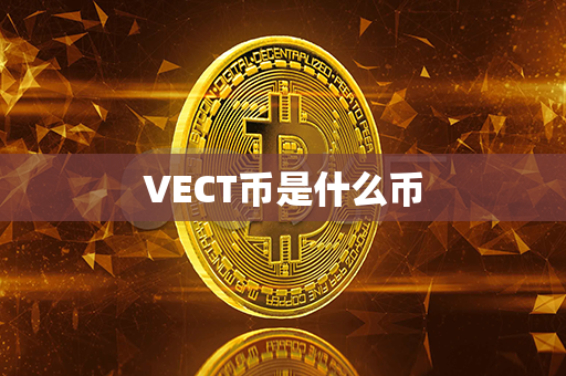 VECT币是什么币