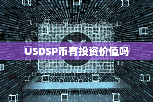 USDSP币有投资价值吗