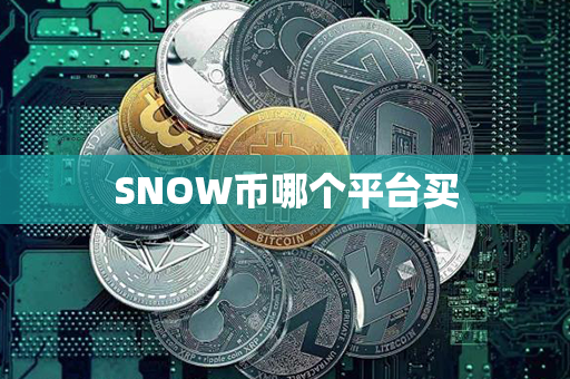 SNOW币哪个平台买