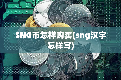 SNG币怎样购买(sng汉字怎样写)