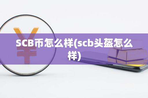 SCB币怎么样(scb头盔怎么样)