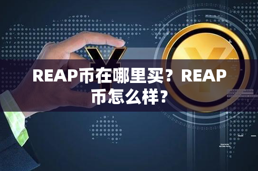 REAP币在哪里买？REAP币怎么样？