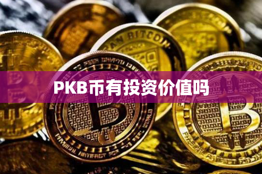 PKB币有投资价值吗