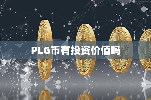 PLG币有投资价值吗