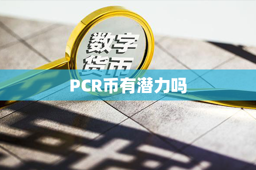 PCR币有潜力吗