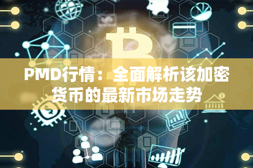 PMD行情：全面解析该加密货币的最新市场走势