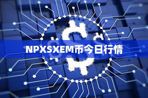 NPXSXEM币今日行情