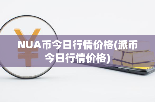 NUA币今日行情价格(派币今日行情价格)