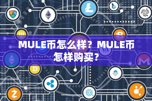 MULE币怎么样？MULE币怎样购买？