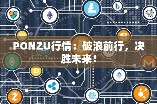 PONZU行情：破浪前行，决胜未来！