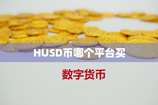 HUSD币哪个平台买