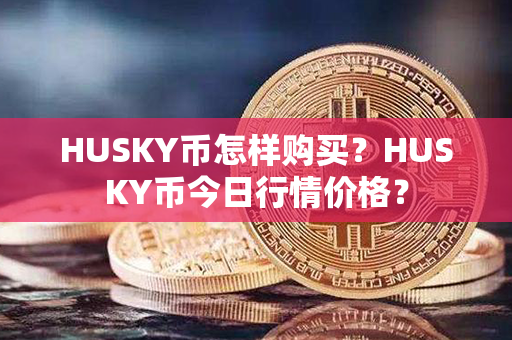 HUSKY币怎样购买？HUSKY币今日行情价格？