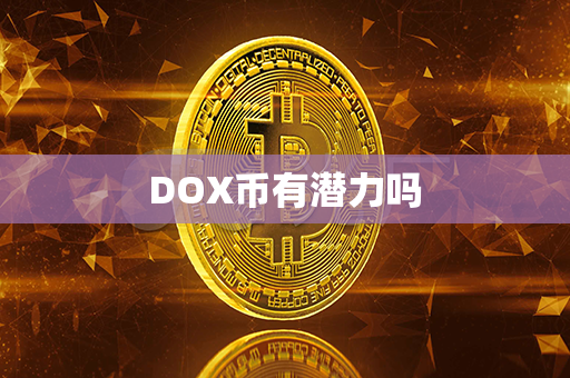 DOX币有潜力吗