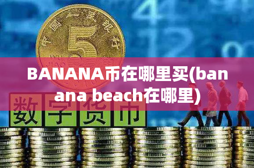 BANANA币在哪里买(banana beach在哪里)