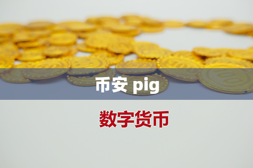 币安 pig