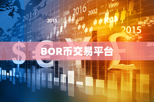 BOR币交易平台