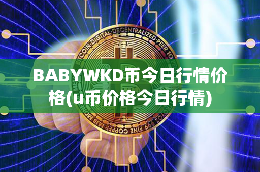 BABYWKD币今日行情价格(u币价格今日行情)