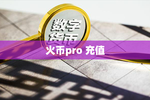 火币pro 充值