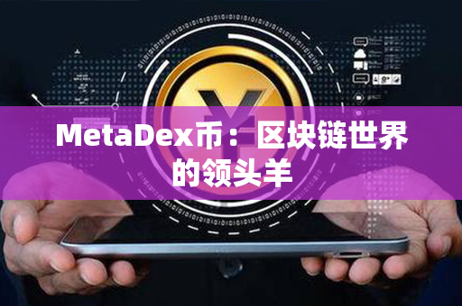 MetaDex币：区块链世界的领头羊