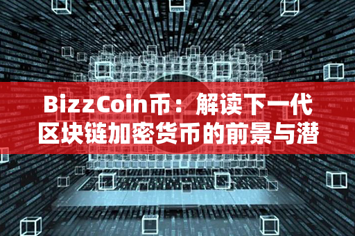 BizzCoin币：解读下一代区块链加密货币的前景与潜力