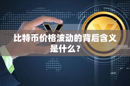 比特币价格波动的背后含义是什么？