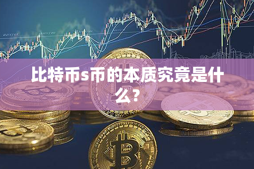 比特币s币的本质究竟是什么？