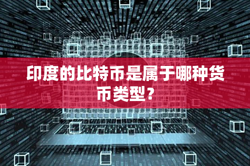 印度的比特币是属于哪种货币类型？